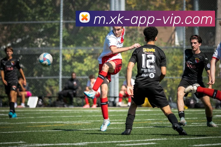 星空体育品牌故事