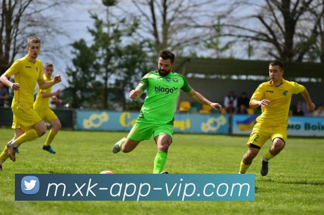 星空体育服务体系