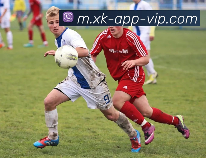 星空体育APP 体育赛事宣传图